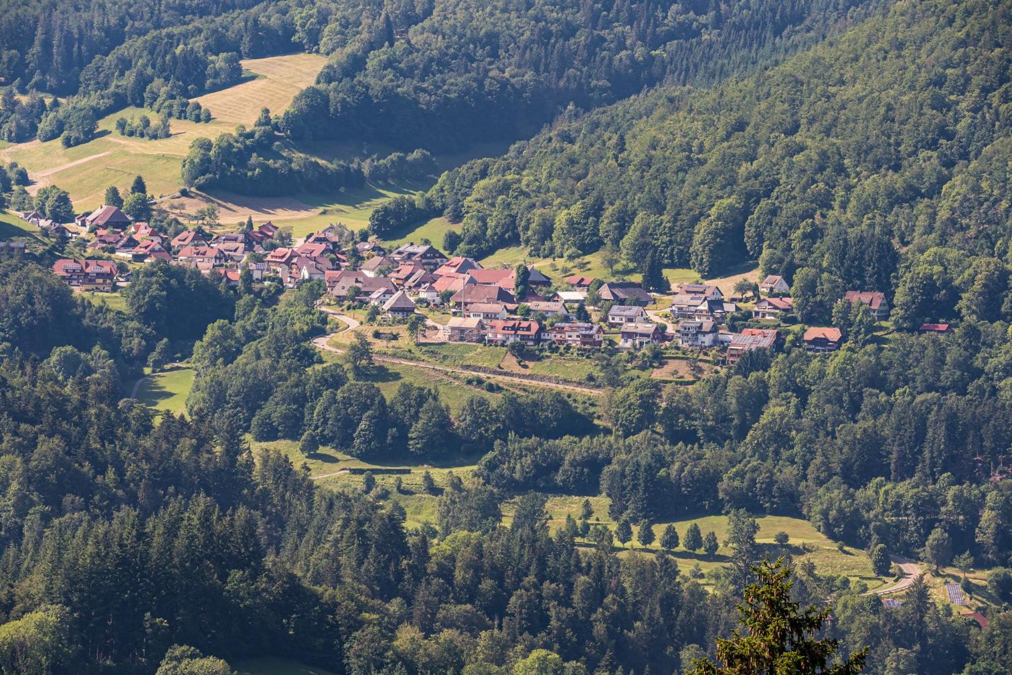 Ferienwohnung Belchenliebe Schonenberg Luaran gambar