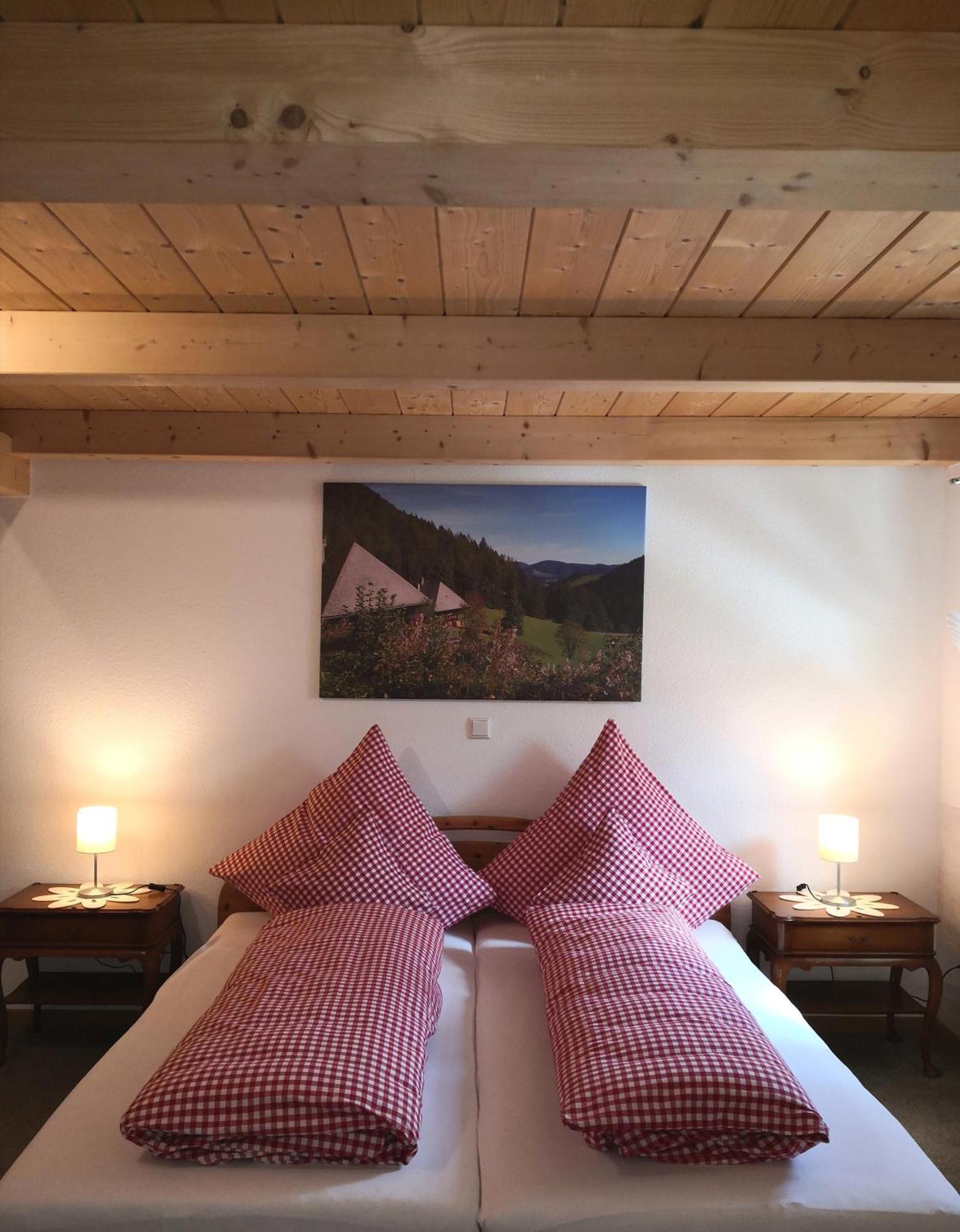 Ferienwohnung Belchenliebe Schonenberg Luaran gambar