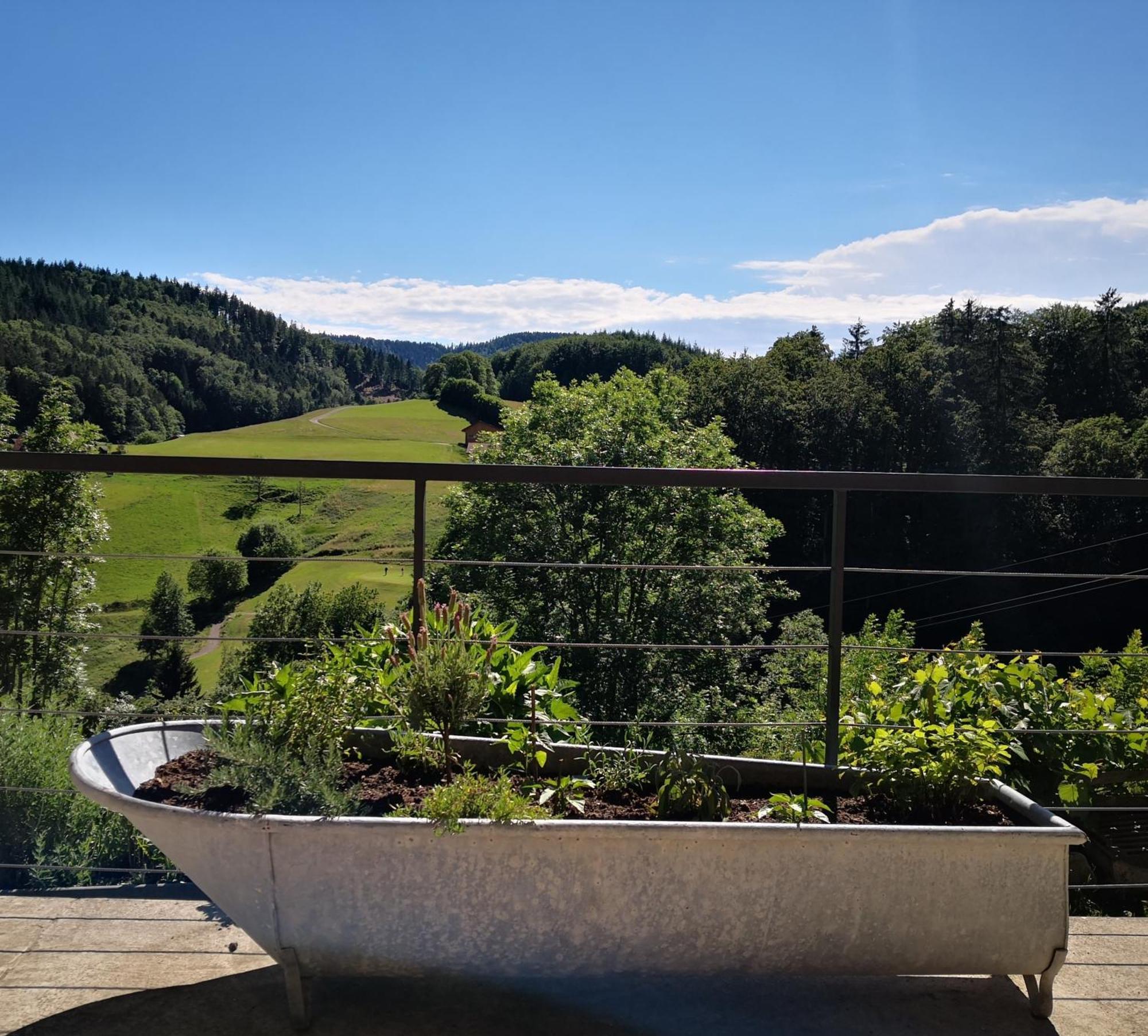 Ferienwohnung Belchenliebe Schonenberg Luaran gambar