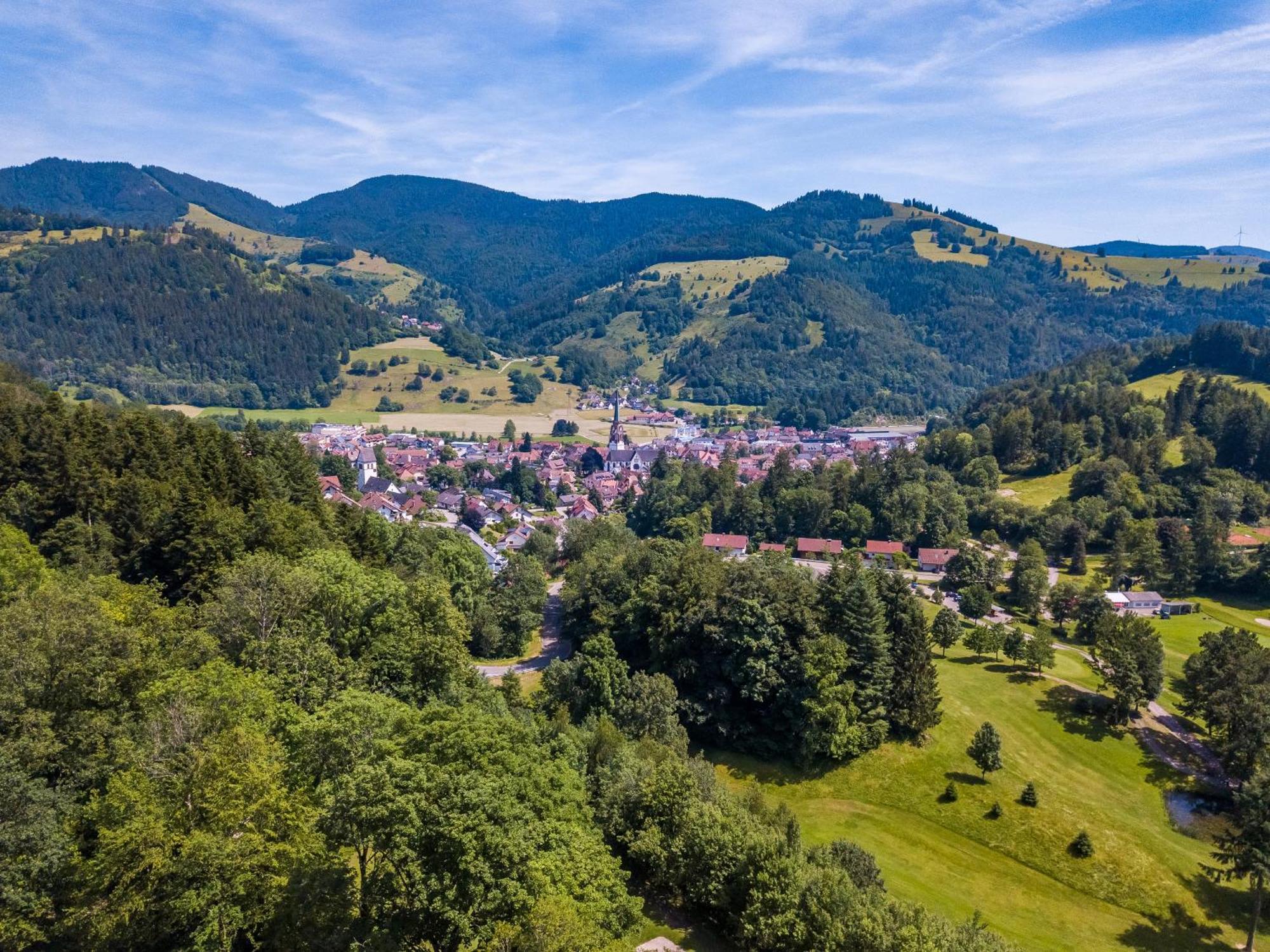 Ferienwohnung Belchenliebe Schonenberg Luaran gambar